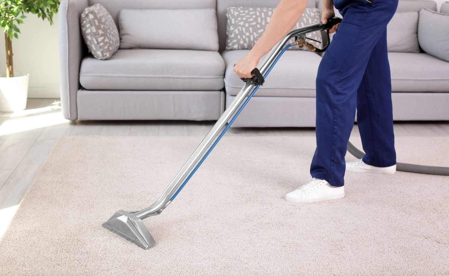 ทําความสะอาดพรม